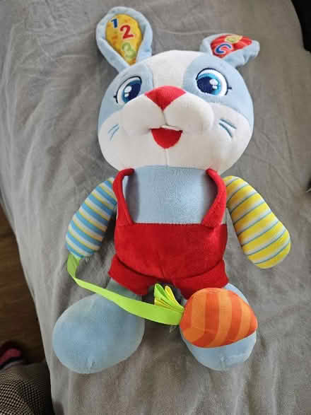 Photo of free Teddy talks and sings in portuguese (Littlemore OX4) #1