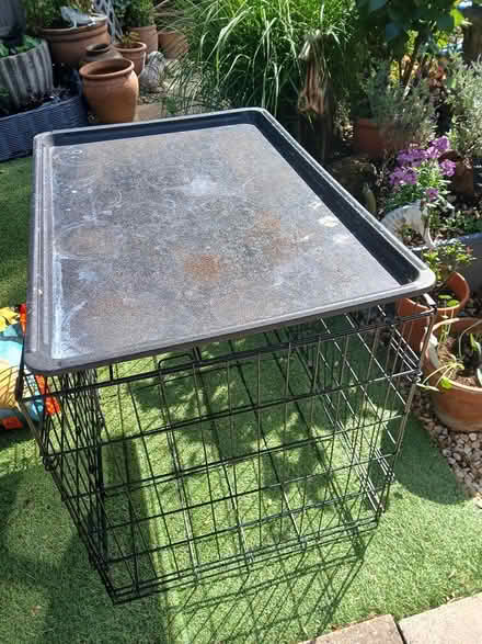 Photo of free dog crate,2ft x2ft6 (Gosport PO13 holbrook) #2