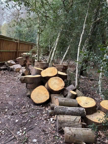 Photo of free Firewood /chopped wood (Virginia Water GU25) #1