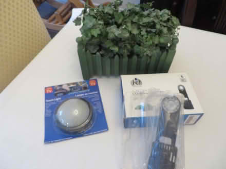 Photo of free Artificial Plant and Misc (Churchill Meadows) #1