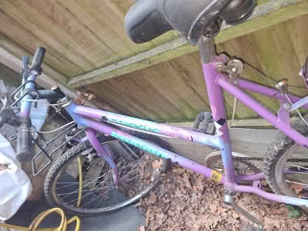 Photo of free Ladies bike (Whitehill, GU35 9HA) #2