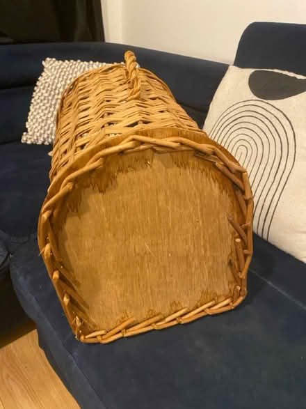 Photo of free Cat carrier (Hampton TW12) #4