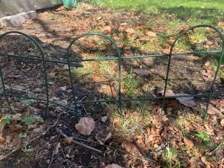 Photo of free plastic coated wire garden edging. (Ballumbie DD4) #2