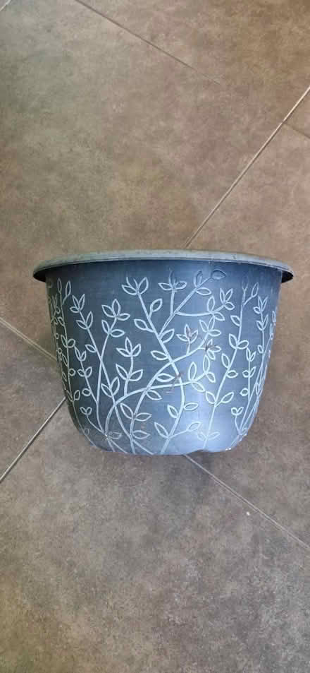 Photo of free Another decorative pot (SK8 Cheadle) #1