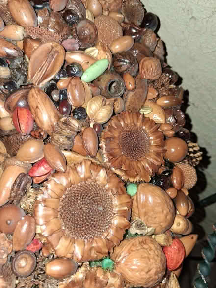 Photo of free Wreath Nature and turquoise (tramway/4 hills road) #2