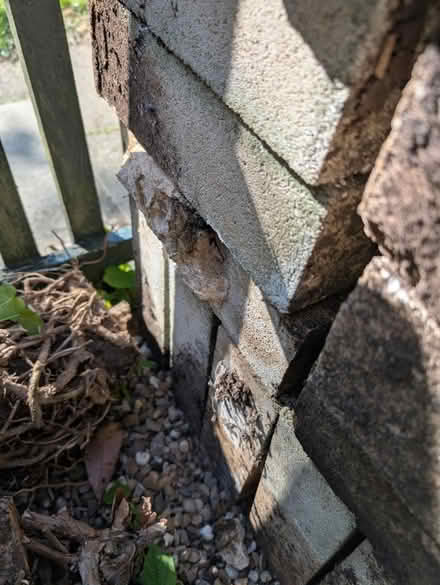 Photo of free Garden blocks (Hemel Hempstead, HP2) #4