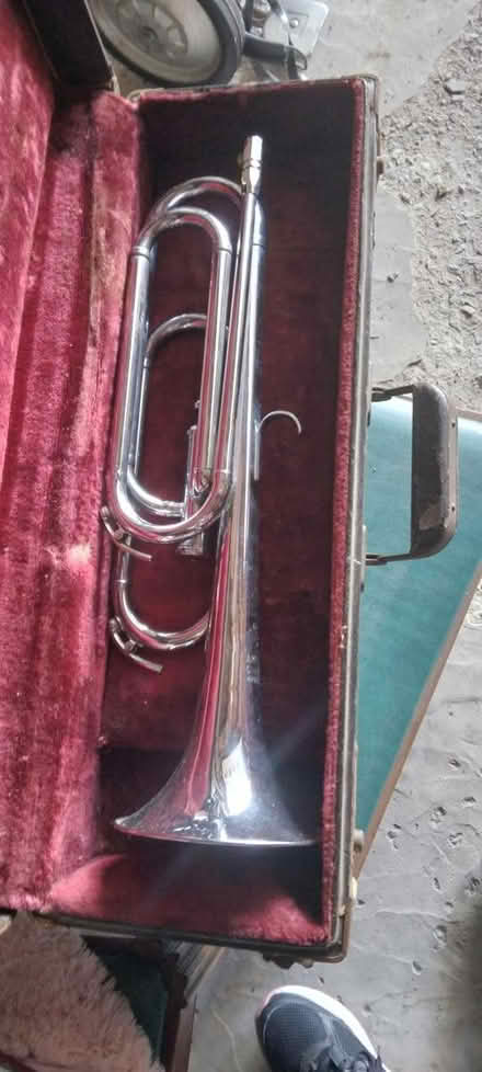 Photo of free Three old horns (Hyde Park, near McDonalds) #3