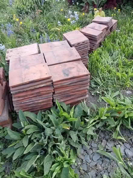 Photo of free Terracotta roof tiles (Frankwell SY3) #1