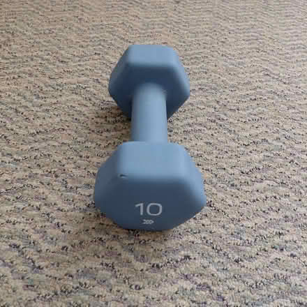 Photo of free 10-lb Dumbell (Union City) #1