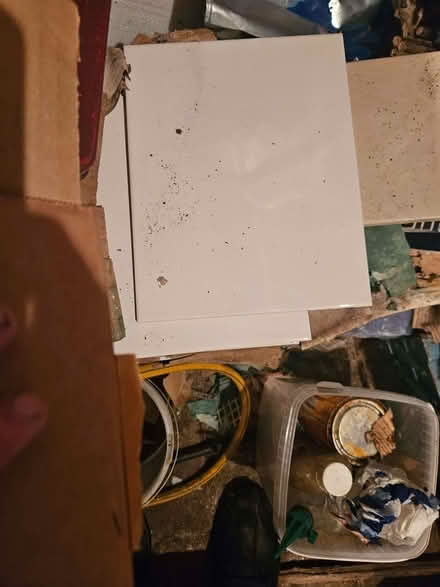 Photo of free Blue tiles and white tiles (Loughborough LE11) #2