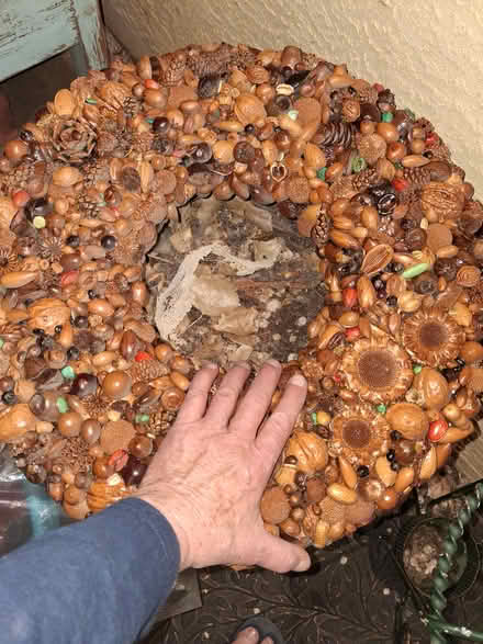 Photo of free Wreath Nature and turquoise (tramway/4 hills road) #1