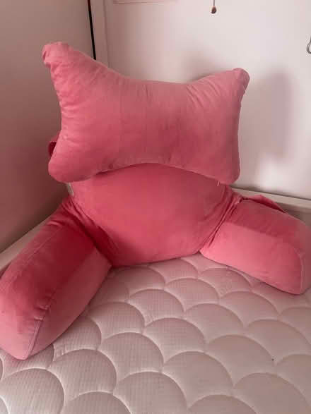 Photo of free Reading Pillow (NG3 5FB) #1