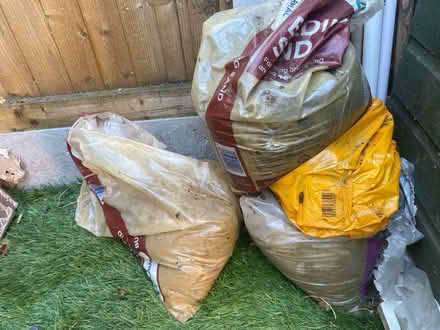 Photo of free Sand (Hampton TW12) #1