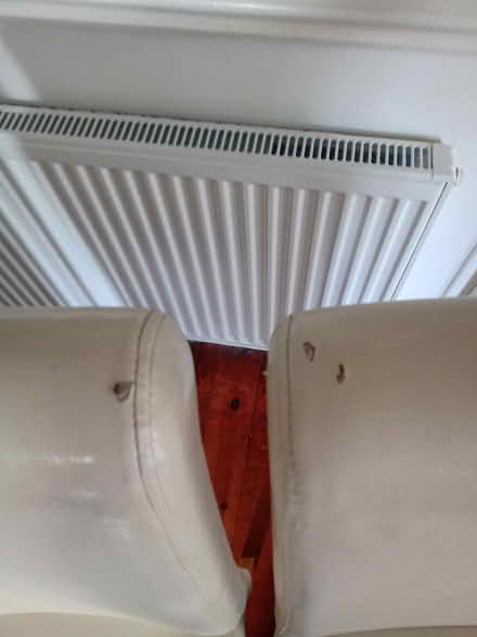 Photo of free Dining chairs (Gloucester GL1) #1