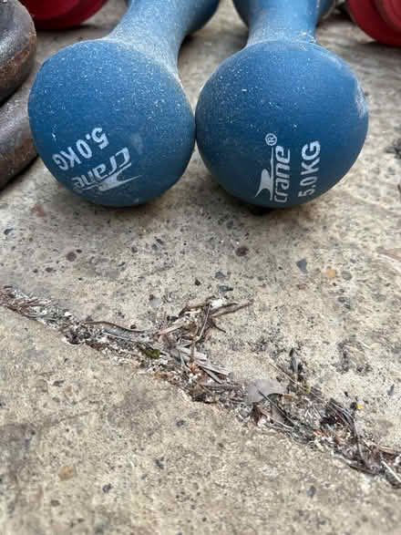 Photo of free Selection of weights (Burpham, Guildford) #2