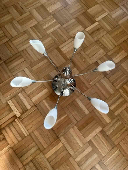 Photo of free Ceiling light (St.Leonards TN38) #1