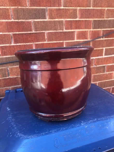 Photo of free medium plant pot (Midtown Toronto) #1