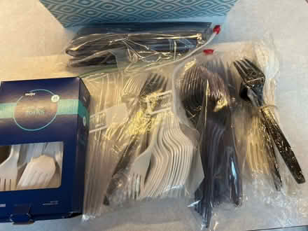 Photo of free Disposable forks and knives (Woodridge) #1