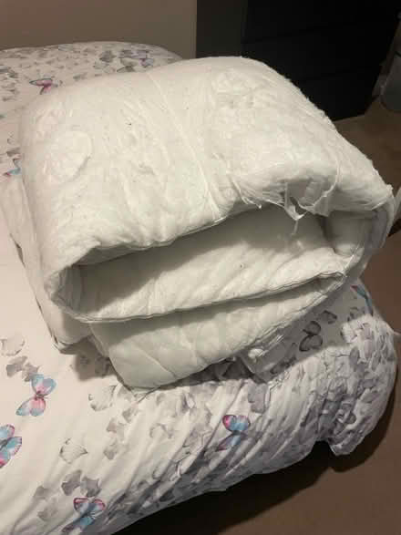 Photo of free King duvet (Witton Gilbert DH7) #1