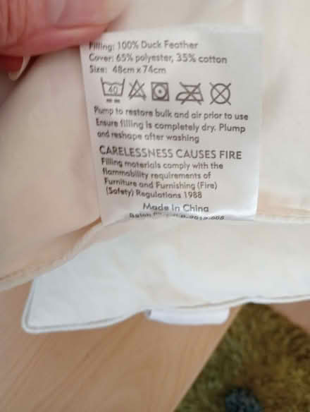 Photo of free Two pillows (Larkhall BA1) #2