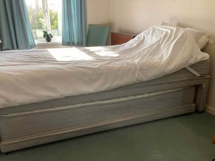 Photo of free Single bed (Bangor BT19) #1