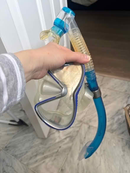 Photo of free Snorkelling set (Kensington Gardens W2) #1