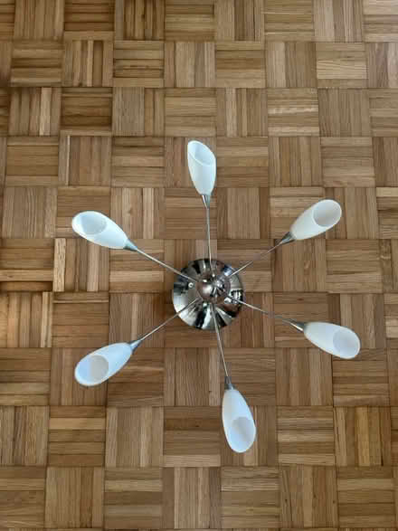 Photo of free Ceiling light (St.Leonards TN38) #2
