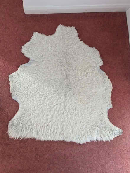 Photo of free White sheepskin rug (Upper Weston) #1