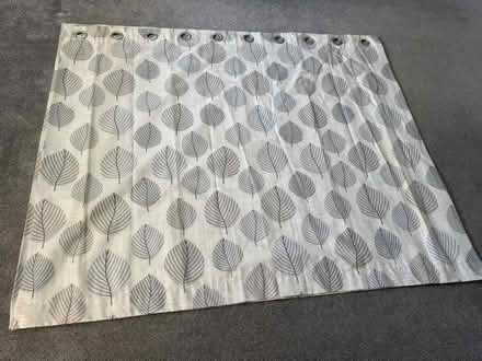 Photo of free Curtains (Dunelm) 168 x137 (North Abingdon OX14) #1