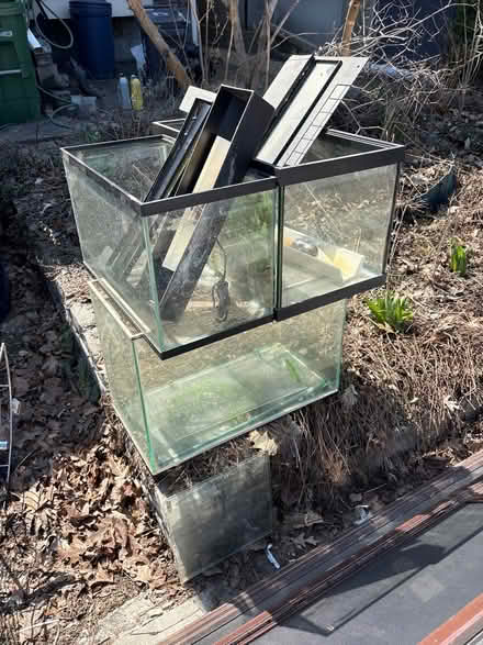 Photo of free Fish tanks (Main/danforth) #1