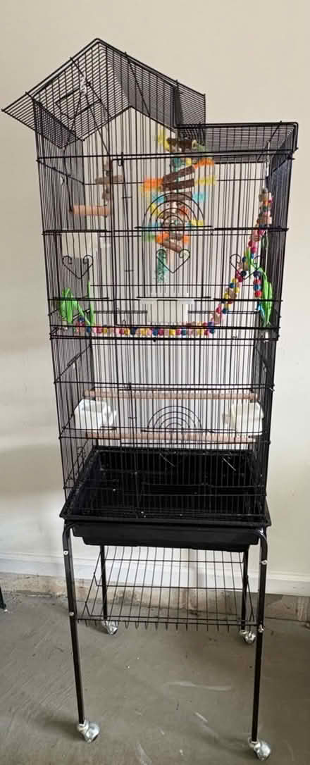 Photo of free Bird cage (Jackson township, Nj 08527) #1