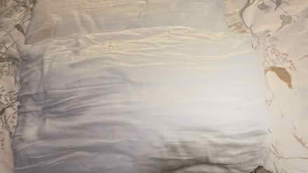 Photo of free Side sleeper pillows (Southsea PO5) #1