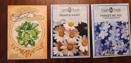 Photo of free basil and flower seeds (2026) (SE Washington DC) #1