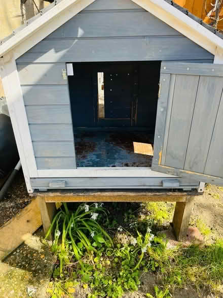 Photo of free House for small animals (CR7 Thornton Heath) #1