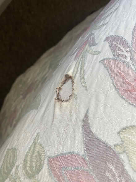 Photo of free Vintage two-seater sofa (Harborne B17) #2