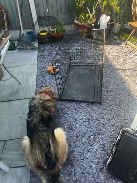 Photo of free Large dog crate (Warrington) #2