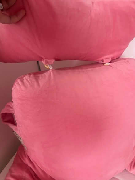 Photo of free Reading Pillow (NG3 5FB) #3