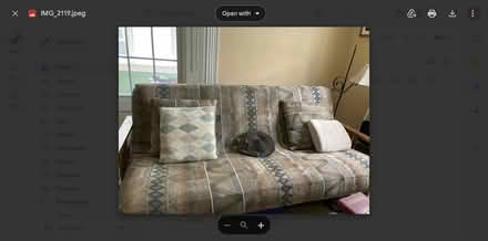 Photo of free futon and folding frame (state st.) #1