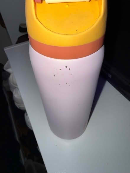Photo of free Owala Water Bottle (worcester) #2
