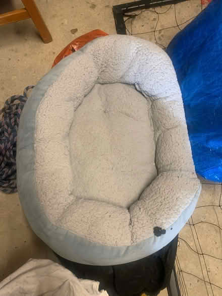 Photo of free Cat/dog bed (North walbottle NE5) #1