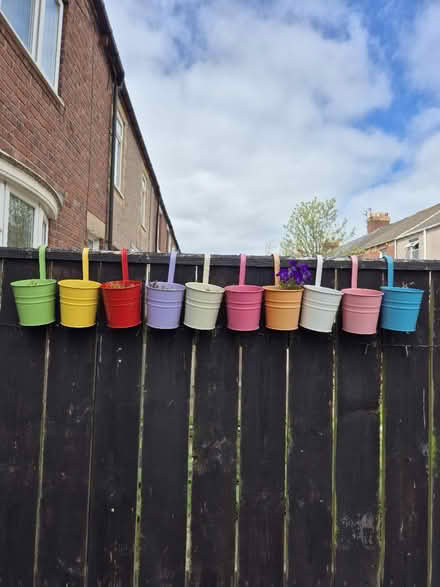 Photo of free 10 small colourful pots (Ashington (NE63)) #1