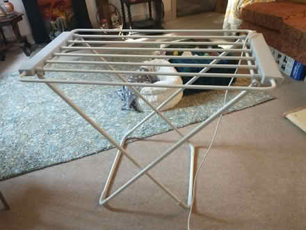 Photo of free Heated Clothes Dryer (Grange-over-Sands LA11) #1