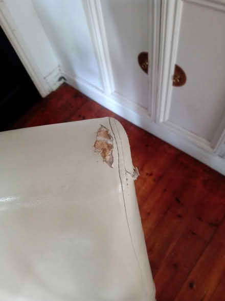 Photo of free Dining chairs (Gloucester GL1) #3