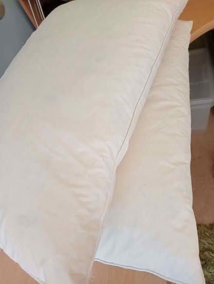 Photo of free Two pillows (Larkhall BA1) #1
