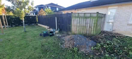 Photo of free pailing timber fence panels (karaka) #1