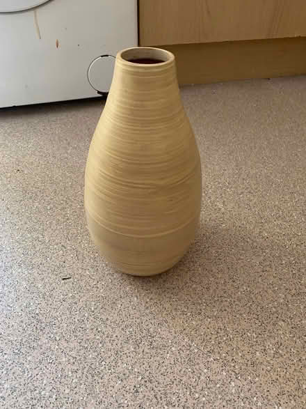 Photo of free Plastic vase (Bucknell SY7) #1