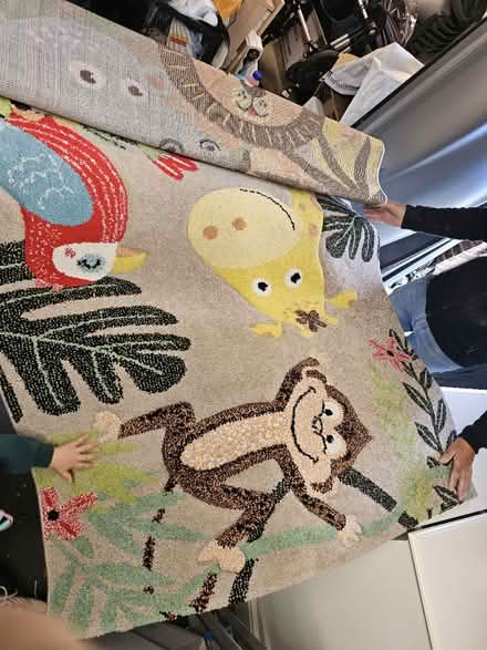 Photo of free Jungle rug (CR8) #1