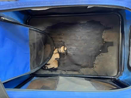 Photo of free Dog crate (Weston Park BA1) #2