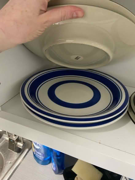 Photo of free Plates (Oakland gardens) #1