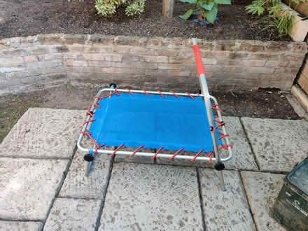 Photo of free Child's trampoline (Hornsey N8) #2